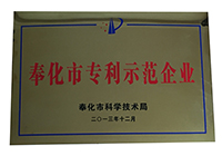 奉化市专利示范企业